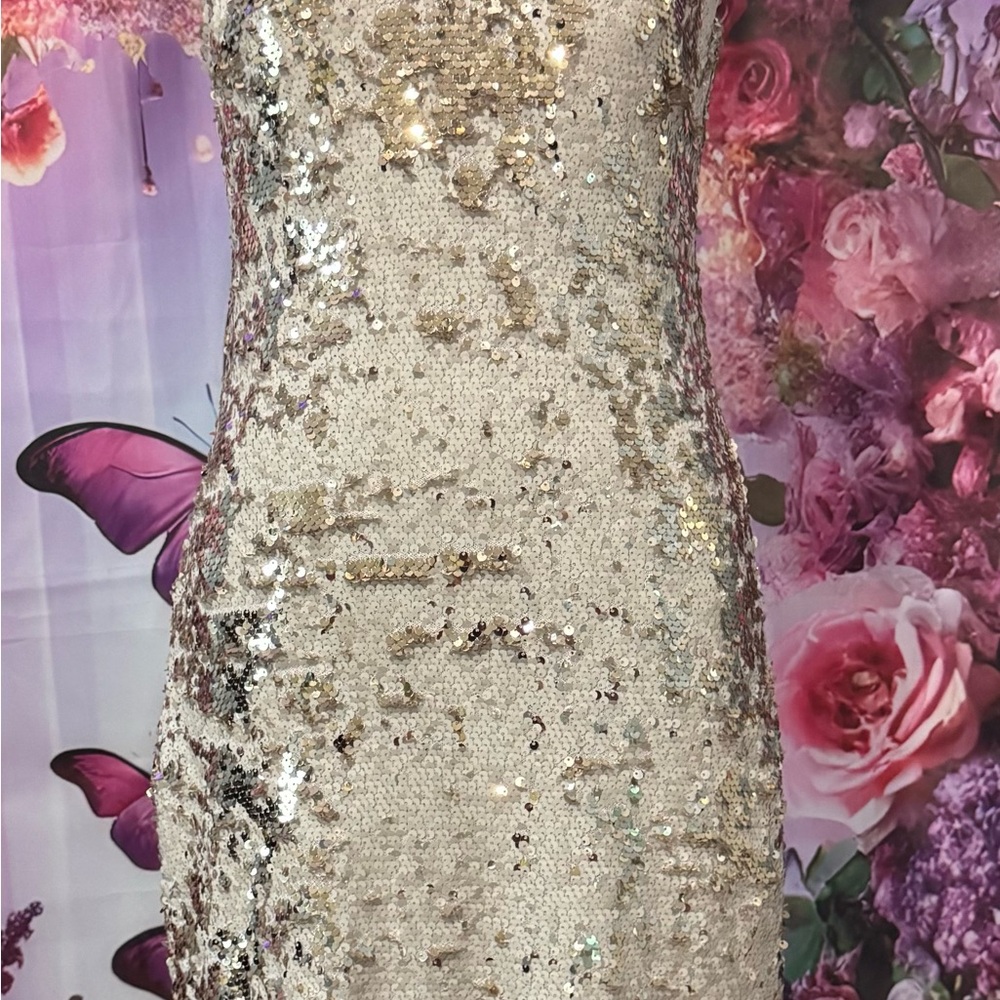 Sequin Hearts Glamorous Gold and Silver Dress